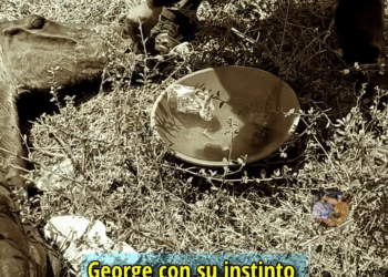 M1209005 Cuando todo parecía perdido luchó por un milagro la esperanza llegó part2