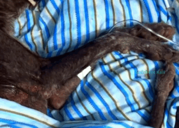 M1209006 Nunca conoció el amor hasta que una mujer cambió su destino part2