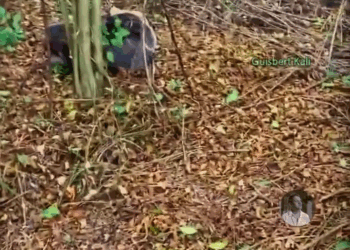 M1209008 bndond sin Esperanza pero el Amor Tocó su Puerta part2