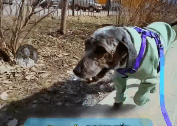 M1209009 Pasó de olvidado ser parte de una familia part2