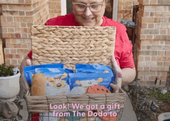 M1209011 Puppy Abandoned On Baseball Field Gets So Wiggly Opening Presents part2