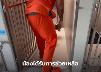 M1209016 Because of the fear of the new army, I had to rush to the alley. Part 2