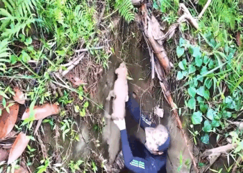 M1209020 A person in the arms of a stranger part 2