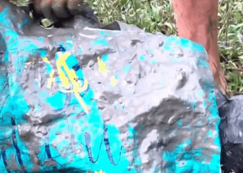 M1209021 Rescue dog that was abandoned and struggling in mud puddle animalsoftiktok rescueanimals animals dogsoftiktok fyp dog part2