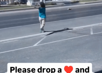 M1609007_dogoftheday doglife puppygram furbaby dogrescue dogsofig doggo dogg_part2