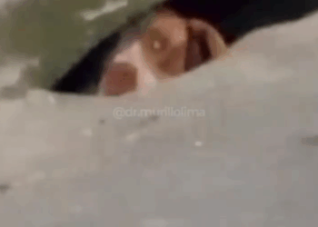 M1609012_Video by samoelmaia_part2