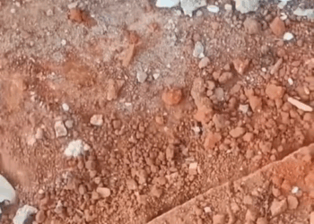 M2109007 Reactions Perrito queda atrapado en una construcción gracias estos héroes sin capa logra ser rescatado
