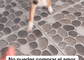 M0409008 Quien puede hacer algo así part2