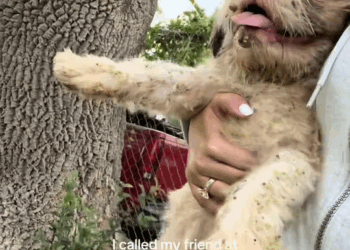 M2109014 Today went to experience new side of rescue