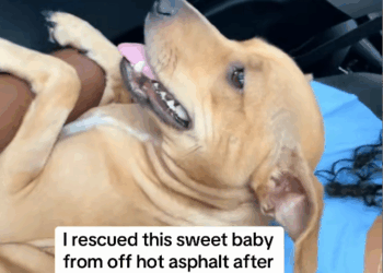 M2109027_oh Marcie oh Marcie such spoiled little girl. Watch to the end for_part2