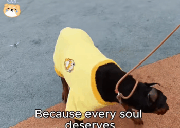 M2409004 His jaw was shattered