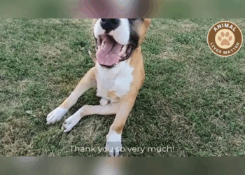 M2409014 Left to Die in the Cold His Body Failing His Hope Fading