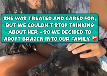 M2609001 A forgotten pup finds hope through kindness 🐾✨ Furry Tails part2