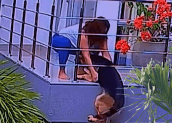 M2609006 The poor dog tried to hold on tight, waiting for his owner to help