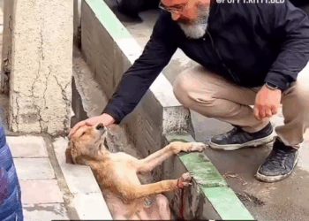 M2609011 No Title part2