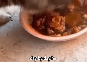 M2609014 From Lost to Loved The Incredible Journey of a Little Puppy! ❤️🐾 People love animals part2