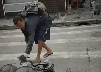 M0208020 Rescue stray dog with severe hair loss rescue animals puppy