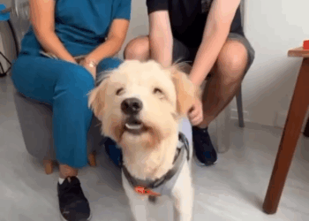 M0709004 Jim Kilby on Reels part2