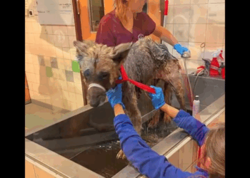 M3108018 El lugar adecuado hace la diferencia part2