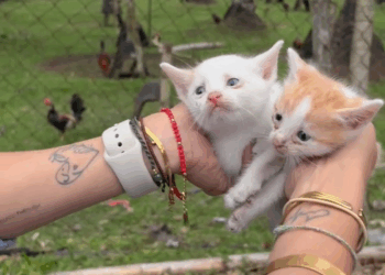 M0709014 Now really believe that we are always right where we are meant to be