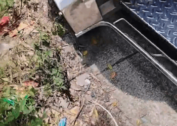 M0709015 Daig pa ang bata gusto sumama sa akin hindi rin ako nakatiis sinama ko na lang din