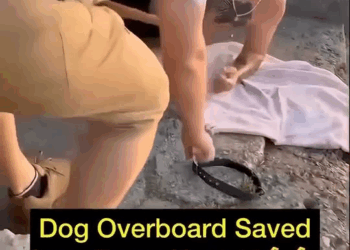 M0709020 Anjos Jerry Bolsas part2