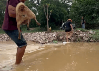 M0709022 Komanke Omai Rod part2