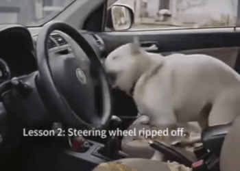 M0709024 credittotherightfulownerofthisvideo Jane Francisco Aquino part2